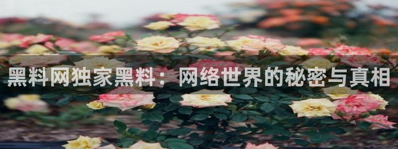 美女黑料网站