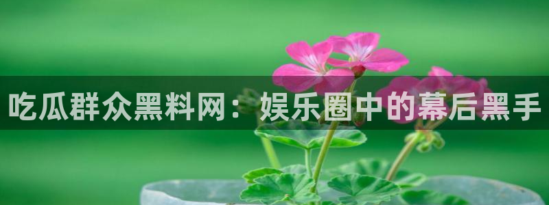 知名名人丑闻新瓜曝光